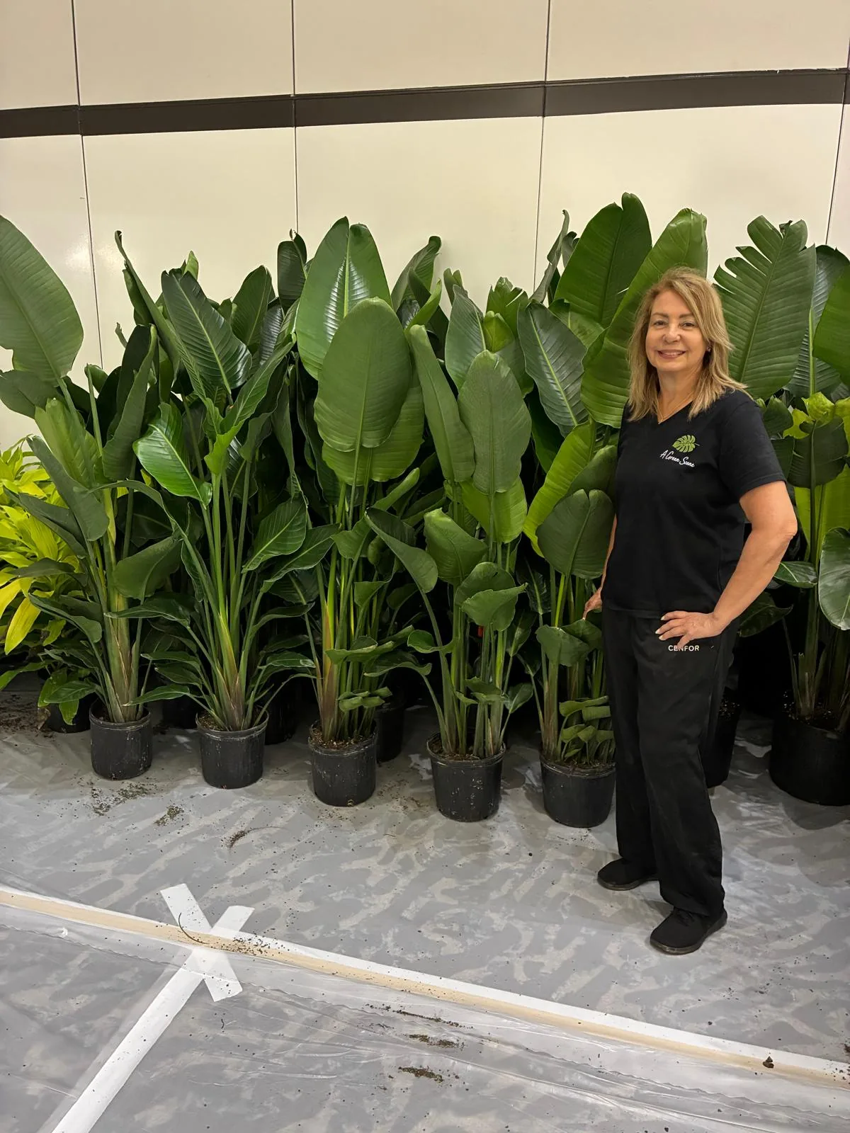 Tropical plant styling by A Green Scene at a South Florida event