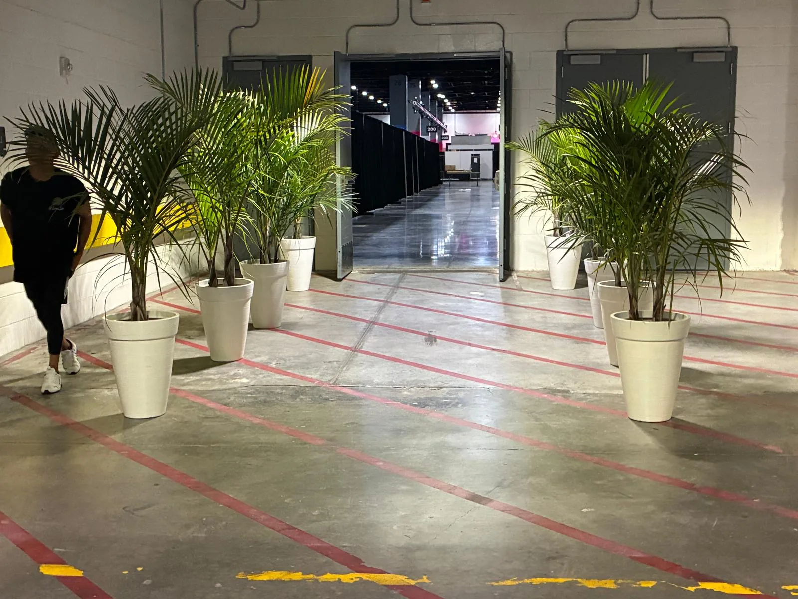 Tropical plant styling by A Green Scene at a South Florida event
