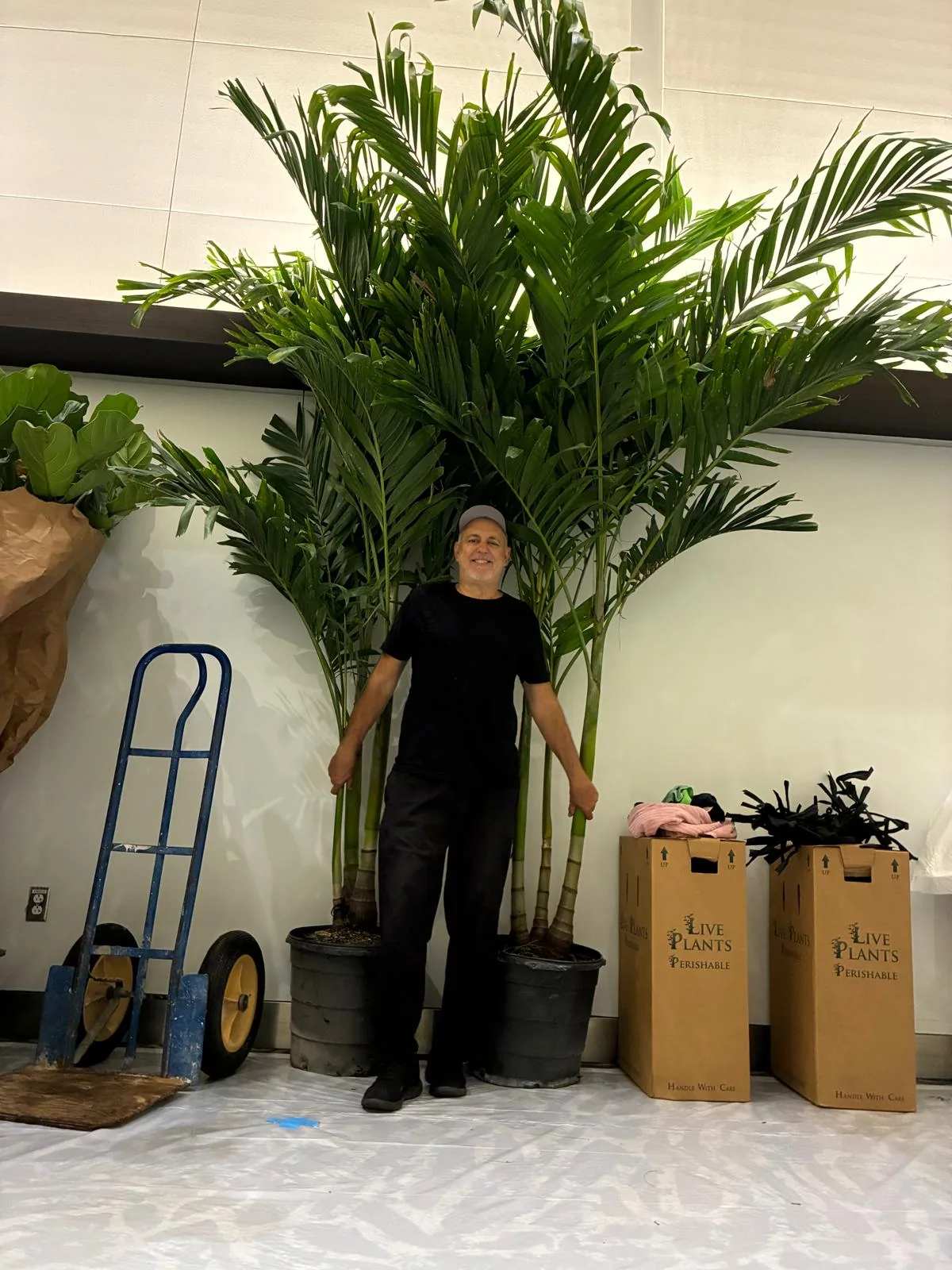 Tropical plant styling by A Green Scene at a South Florida event