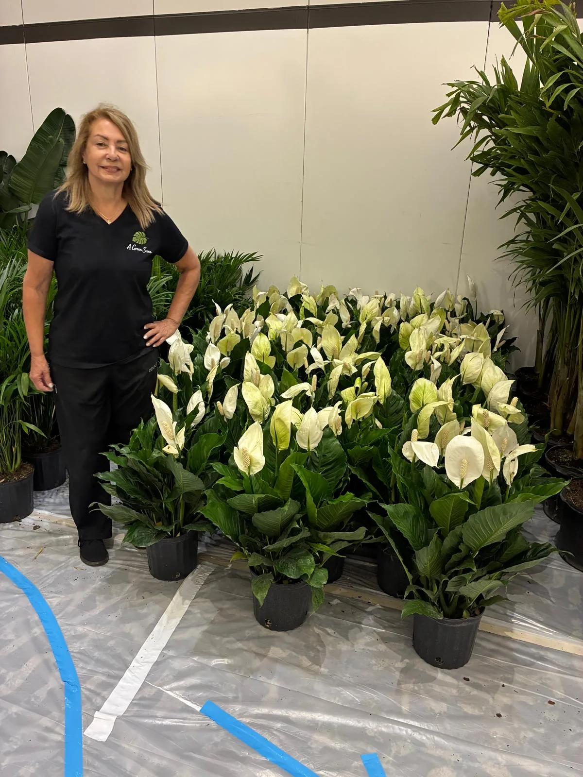 Tropical plant styling by A Green Scene at a South Florida event