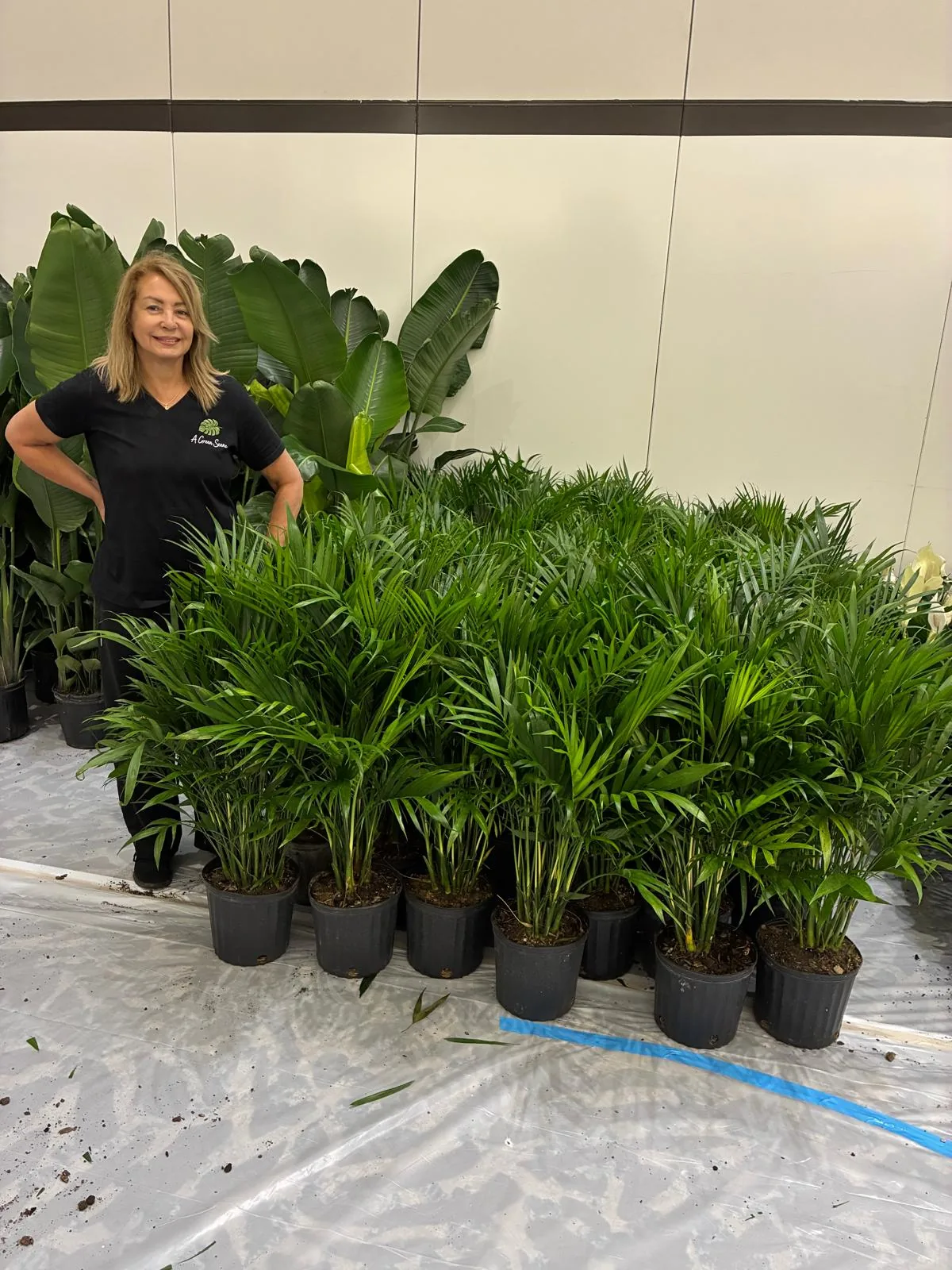 Tropical plant styling by A Green Scene at a South Florida event