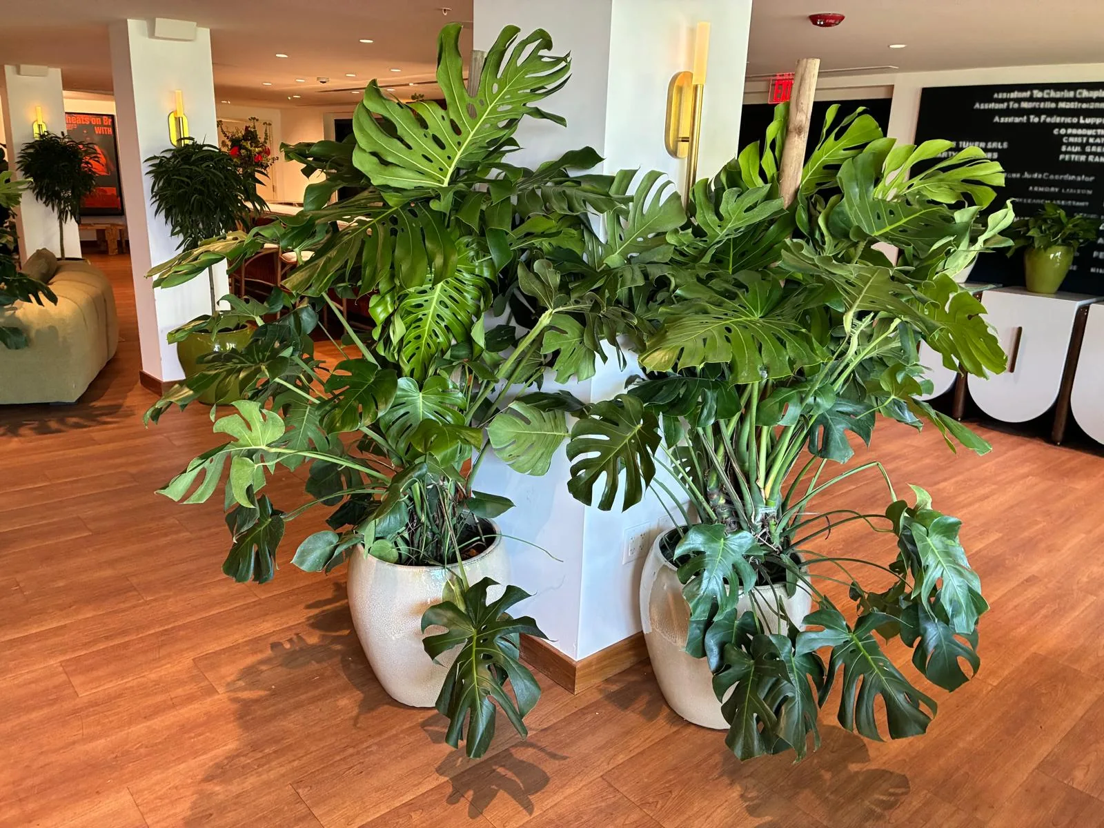 Tropical plant styling by A Green Scene at a South Florida event