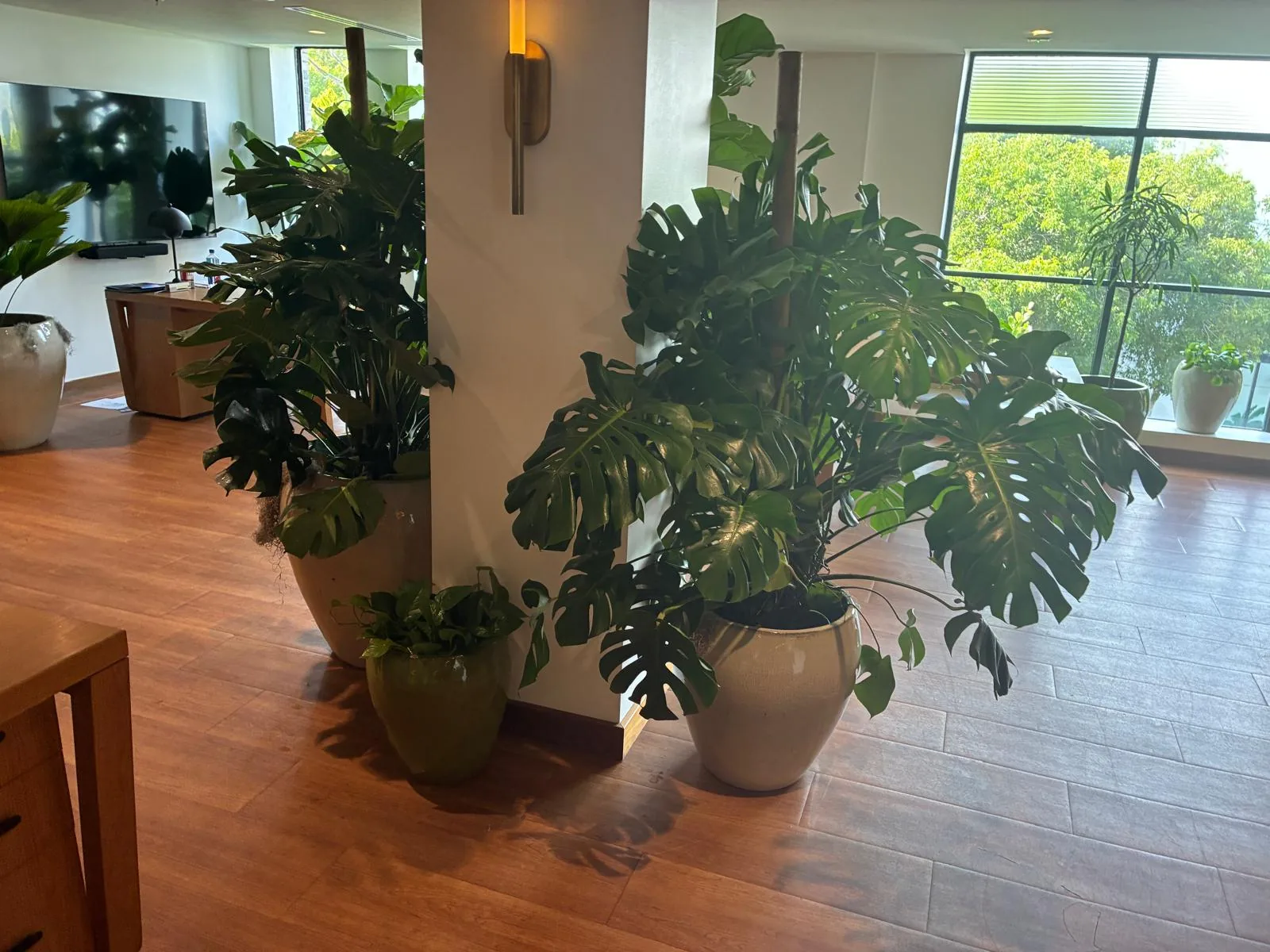 Tropical plant styling by A Green Scene at a South Florida event
