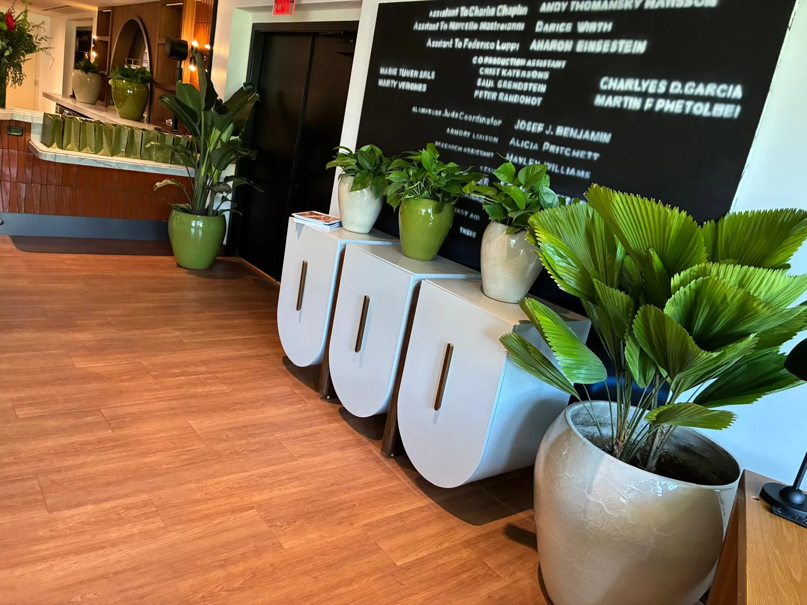 Tropical plant styling by A Green Scene at a South Florida event