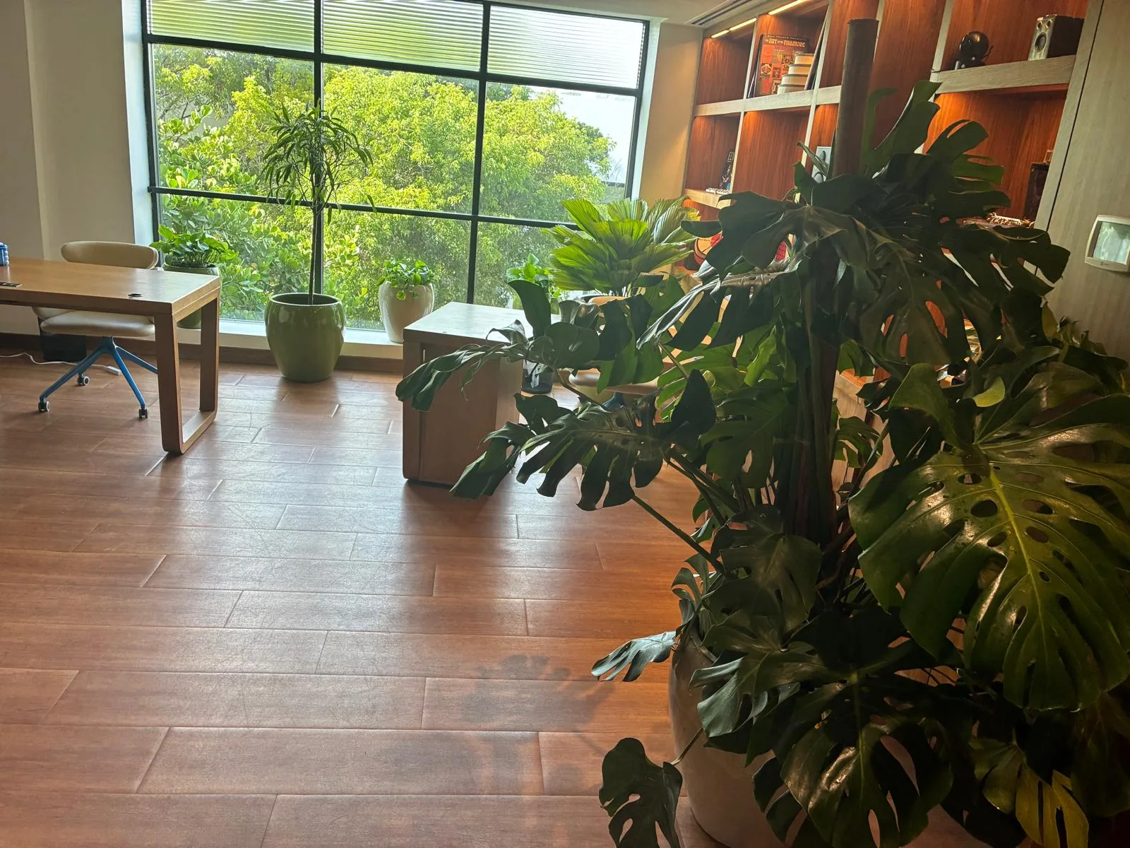 Monstera and potted greenery styling a modern office