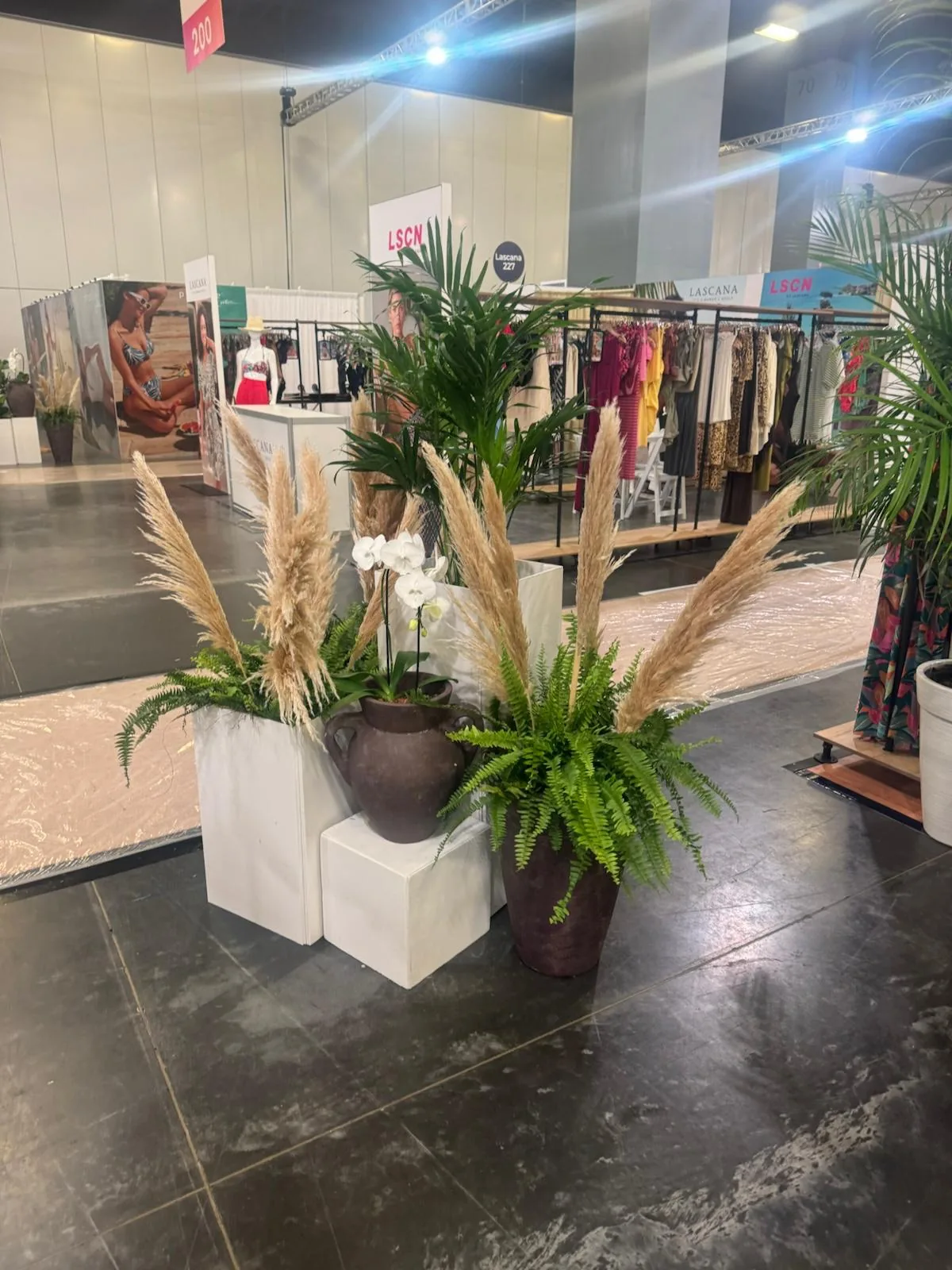 Pampas, ferns and palms in tall planters at a Miami convention center booth