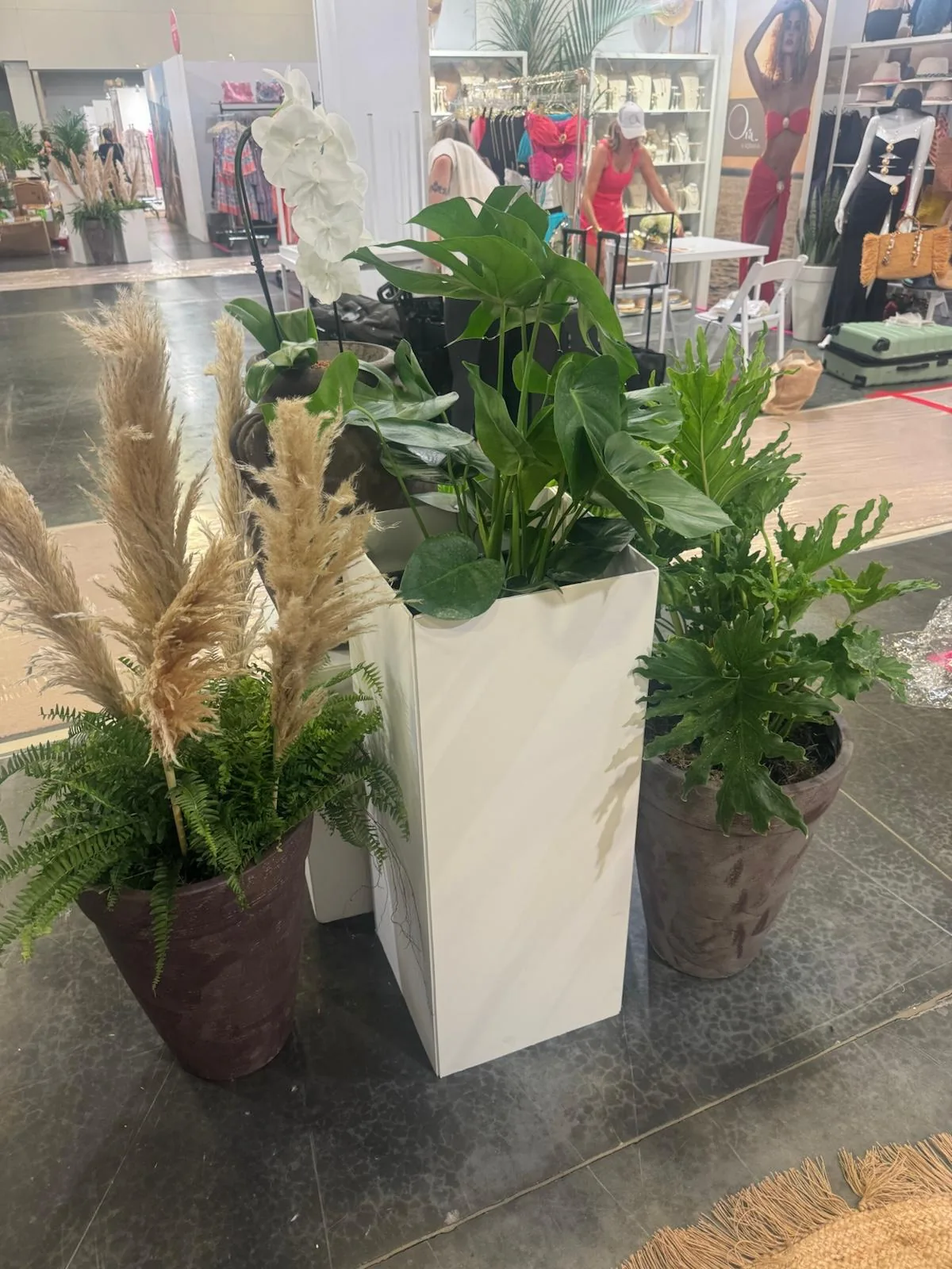 Monstera, pampas and ferns in modern planters on a Miami show floor